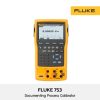 Fluke 753
